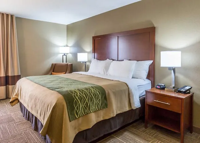 Quality Il - St Louis - Shiloh Inn 4*