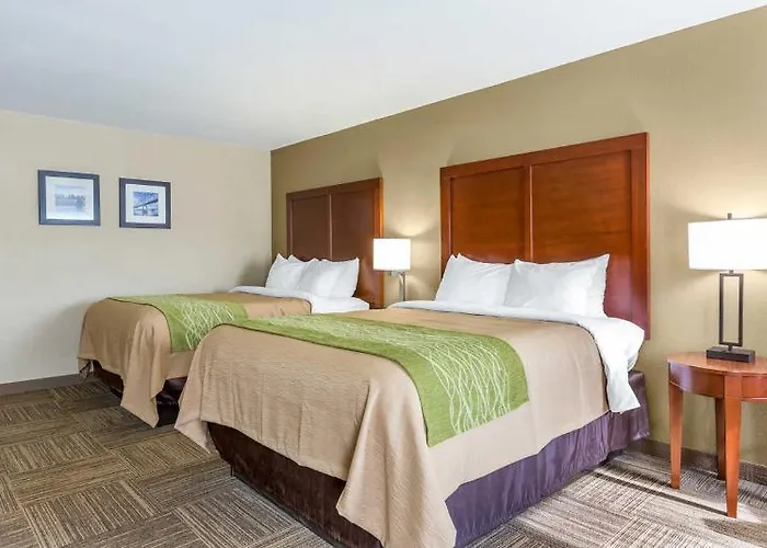 Quality Il - St Louis - Shiloh